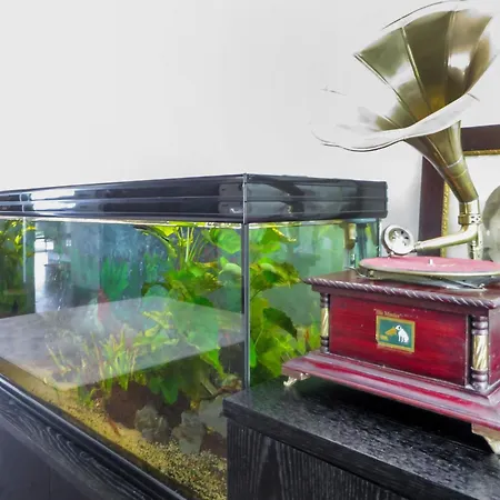 Da Maria By Interhome *